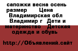 сапожки весна-осень  размер 27 › Цена ­ 400 - Владимирская обл., Владимир г. Дети и материнство » Детская одежда и обувь   